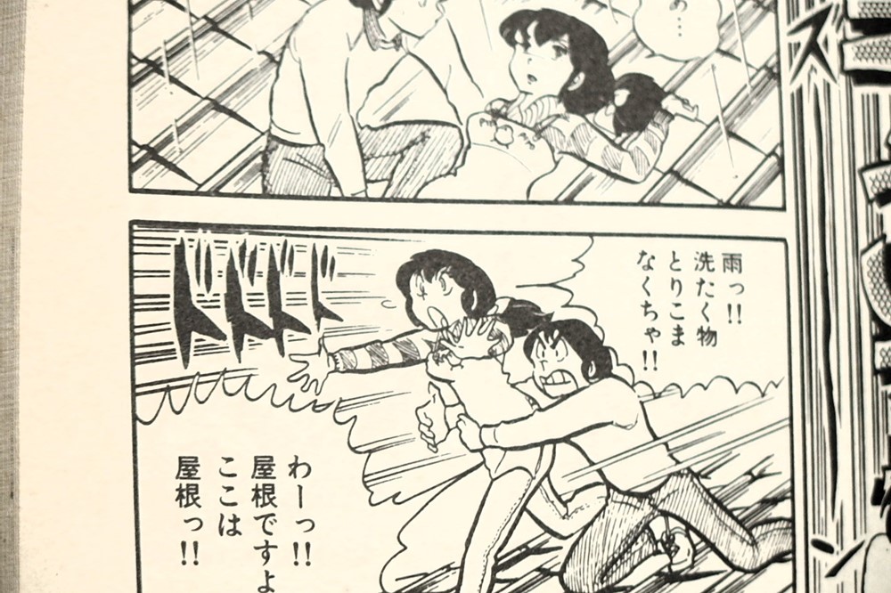 屋根上で駆け出す管理人さんを抱きついて止める五代くんの画像